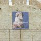 realizzazione allestimento mostra siracusa